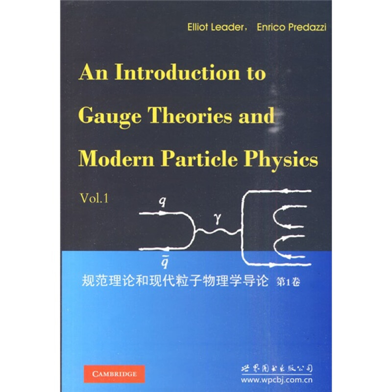 规范理论和现代粒子物理学导论（第1卷） [An Introduction to Gauge Theories and Modern Particle Physics Vol.1]