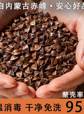 内蒙古甜荞麦壳苦荞麦壳枕头单人枕芯枕乔麦皮硬家用学生男女枕头