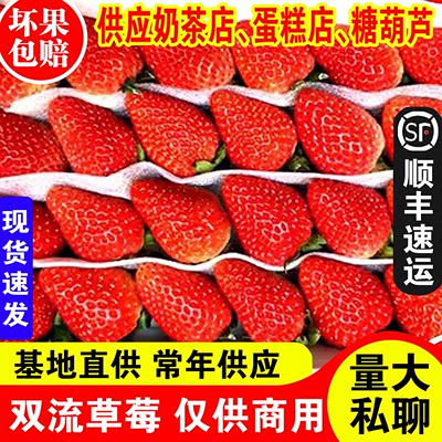 上海发货新鲜烘焙草莓盒装商用