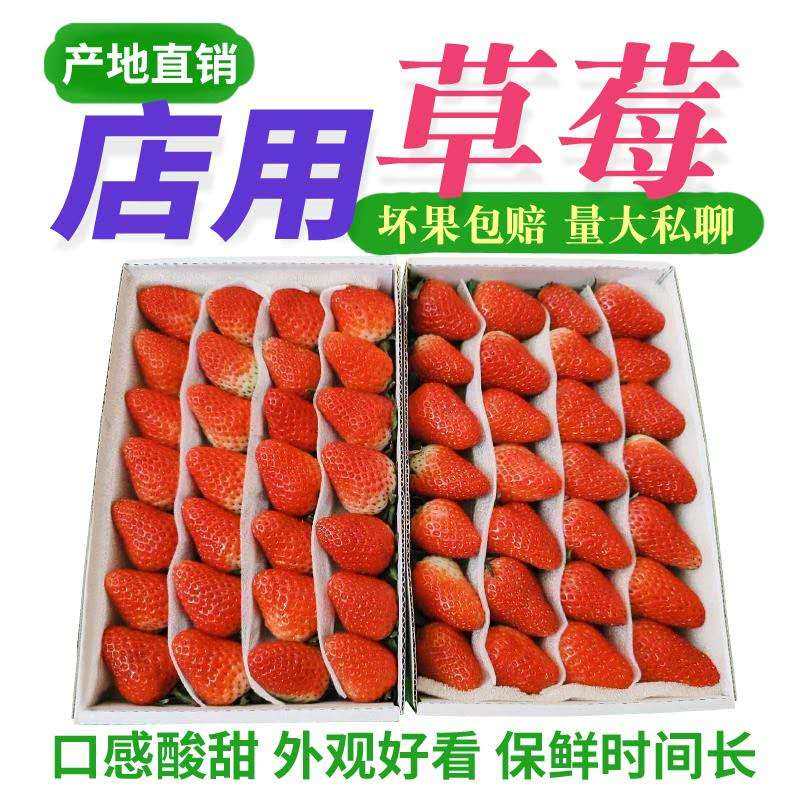 商用烘焙小草莓1盒装双流冬酸甜草莓四季新鲜水果4盒起江浙沪包邮在类目 水产肉类/新鲜蔬果/熟食, 新鲜水果, 草莓中 - 来自Buy2taobao.com提供专业的淘宝代购服务