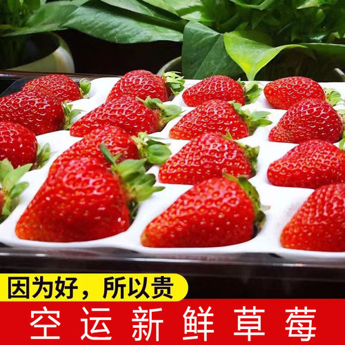 上海精品蛋糕店糖葫芦酸甜草莓