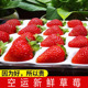包邮 新鲜上市奶油冬草莓2盒4盒10盒当季 烘焙甜草莓糖葫芦草莓顺丰