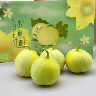 马连庄小甜瓜礼盒3斤香甜瓜如蜜皮薄汁多满屋飘香儿童孕妇水果