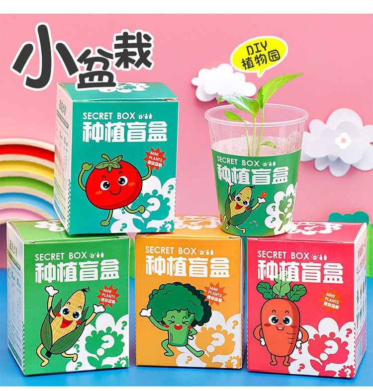 桌面饰品小摆件儿童种植小盆栽图片