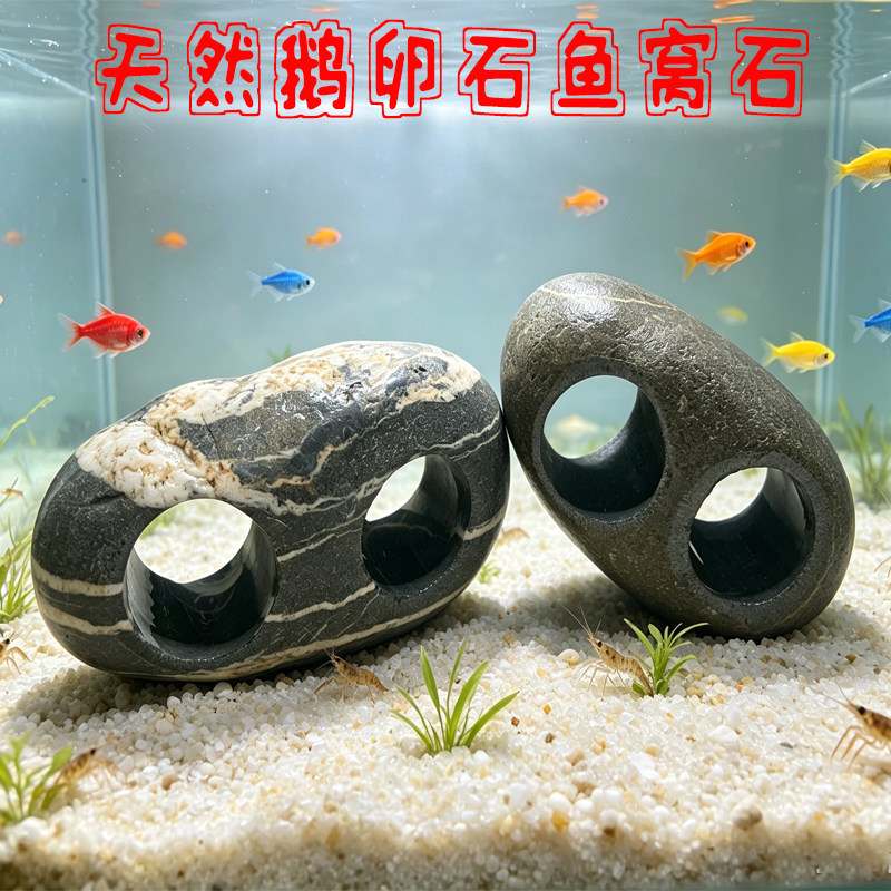 天然鹅卵石小鱼小虾躲避屋躲藏洞