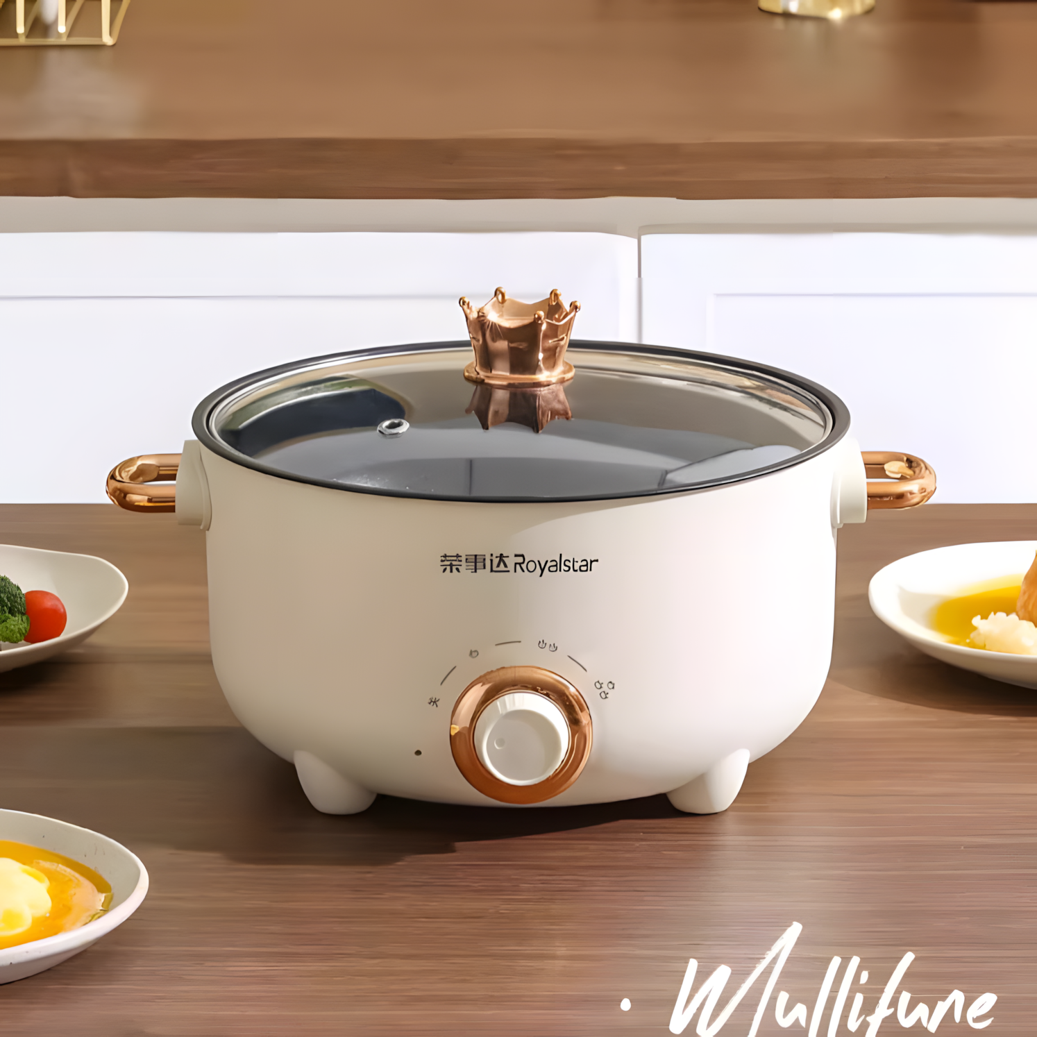 荣事达电煮锅多功能一体