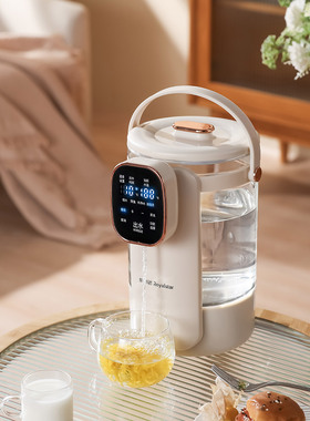 .震普 WJ- B390_1603050646皇家之星电热水壶恒温电热水壶家用保