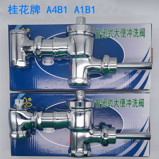 桂花牌冲洗阀冲水阀自闭式 正品 大便阀全铜4分1寸延时A4B1厕所A1B1