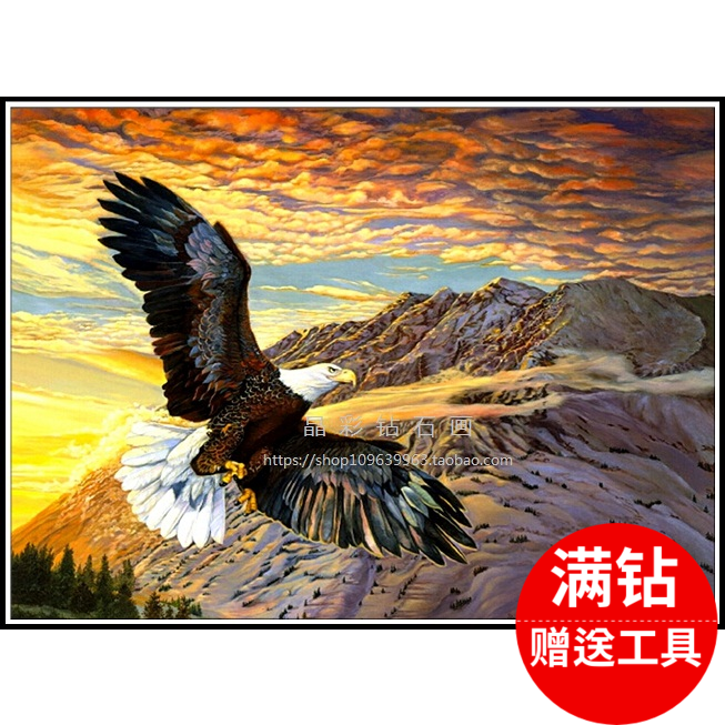 DIY钻石绣新款动物风景大展宏图老鹰钻石画十字绣方钻圆钻满钻