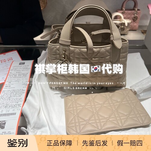 祺掌柜韩国Dior迪奥Tourjous土著横版小/中号手提包
