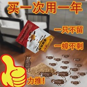 粤康灭蟑螂药强效家用室内厨房无毒除蟑螂全窝端大小蟑螂克星粉剂