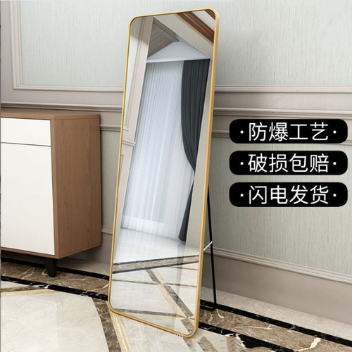 简约穿衣镜子落地立式卧室