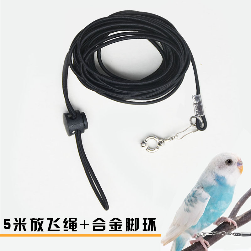 鹦鹉遛鸟放飞绳虎皮牡丹不伤脚牵引绳外出训练绳脚环脚链飞行绳