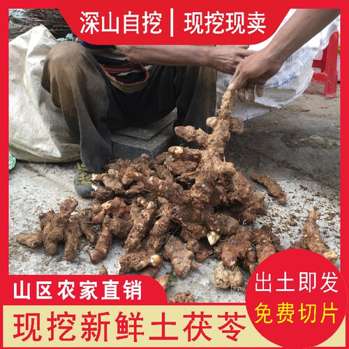 农户深山挖新鲜土茯苓硬饭头煲汤