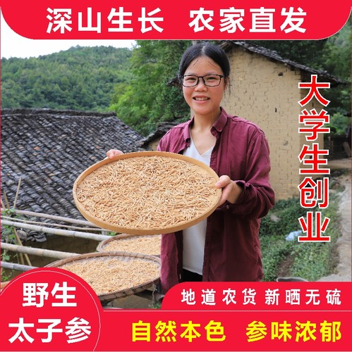 野生太子参孩儿参太阳生晒煲汤料