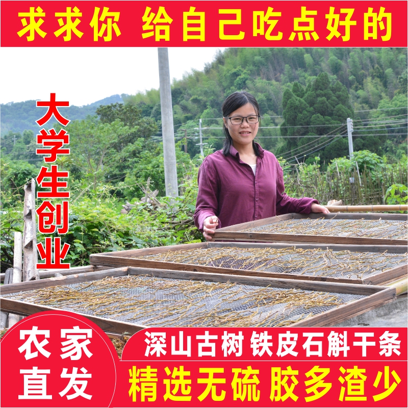 正宗铁皮石斛干条深山采古树石斛