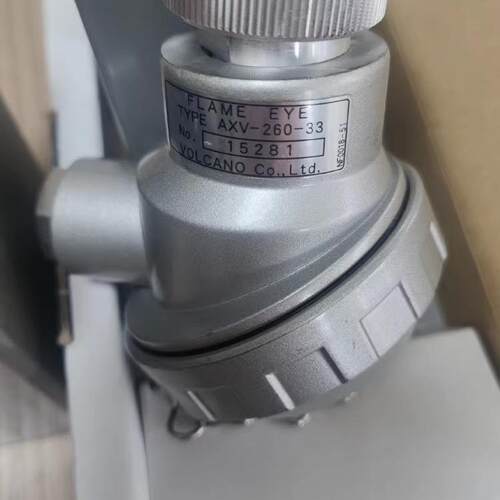 RDV-1005-200 AXV-260-33 FLAMEEYE 火焰继电器 火眼