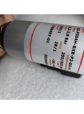 B12-P504H-BXB-P2-BG-X1 0.3-3.8bar BETAB 压力传感器