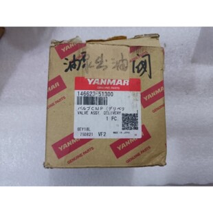 EY18 146623-48600 146623-48611 YANMAR洋马 出油阀油嘴
