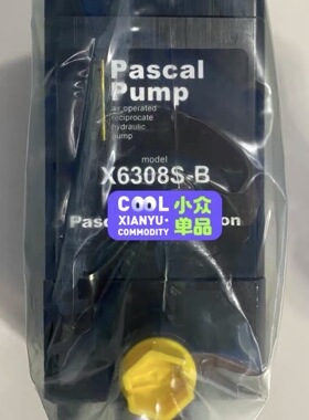 X6308S-B PASCAL帕斯卡 气动泵