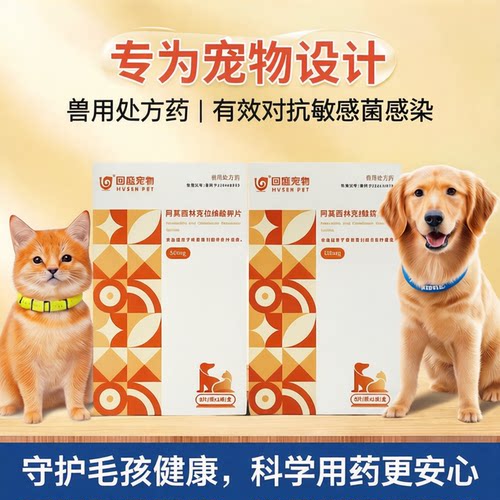 回盛阿莫西林克拉维酸钾猫鼻支