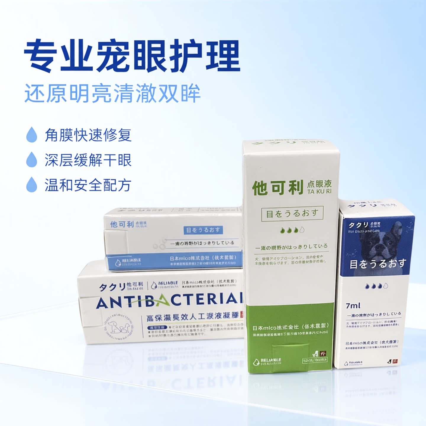 他可利犬猫角膜水肿修复中阶干眼