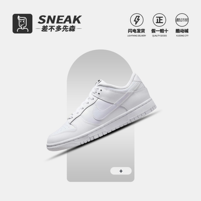 板鞋NikeFD8683-100系带低帮女子