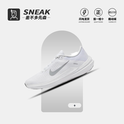 耐克WINFLO10跑步鞋DV4022-102