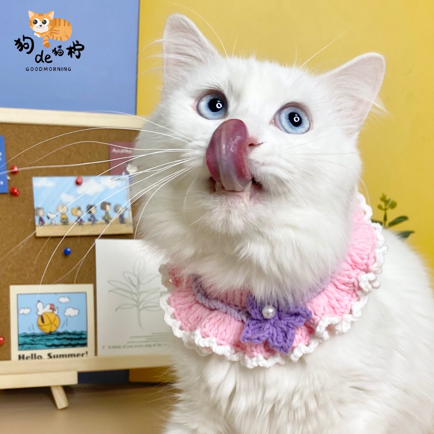 原创玲娜贝儿宠物围脖狗狗围兜猫猫围巾猫项圈针织毛线手工定制