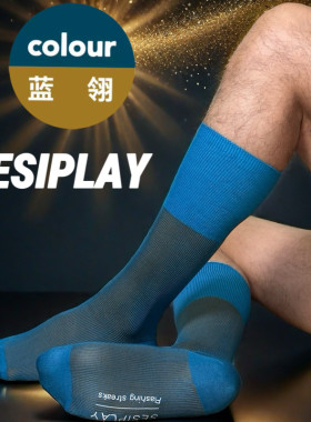 【SESIPLAY：鎏光幻影系列·蓝翎】男生商务袜