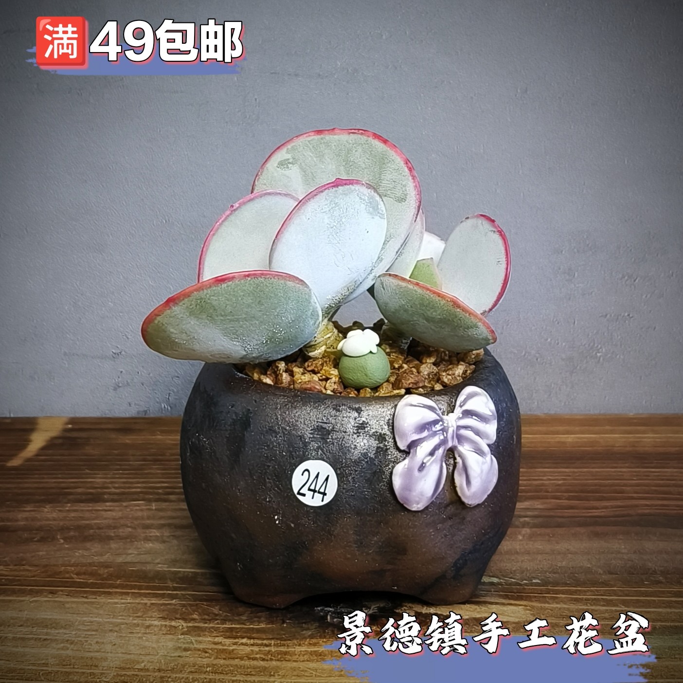 景德镇手工多肉花盆醉泥手捏小方盆复古粗陶陶泥肉锥生石花盆,家居饰品,花盆,淘宝优惠券,粉丝福利购,淘宝优惠卷