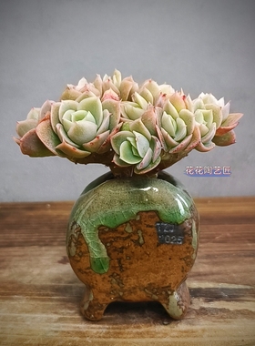 景德镇手工多肉花盆坛子姐拇指小鼓盆粗陶复古陶土花盆小老桩盆栽