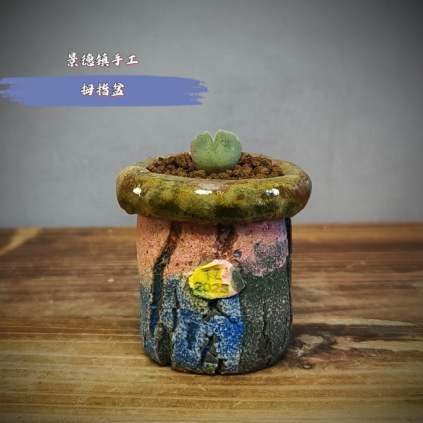 景德镇手工多肉花盆坛子姐手捏拇指盆爆裂独枝干小老桩肉锥花盆