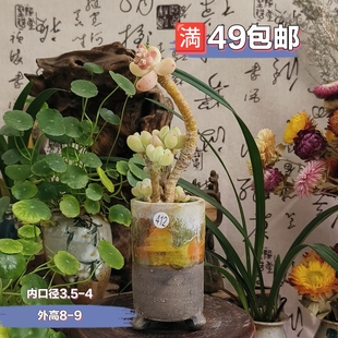 4cm新釉色控型盆原矿粗陶盆 景德镇手工花盆坛子姐多肉花盆口径3