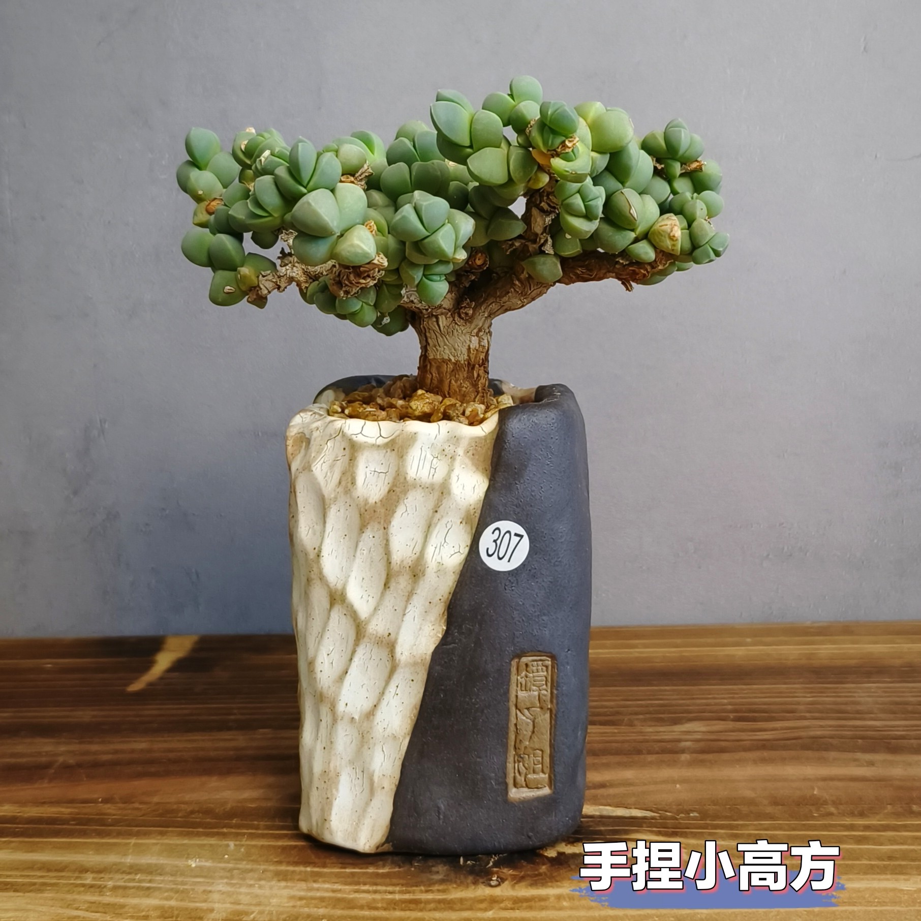 景德镇手工多肉花盆坛子姐纯手捏花盆