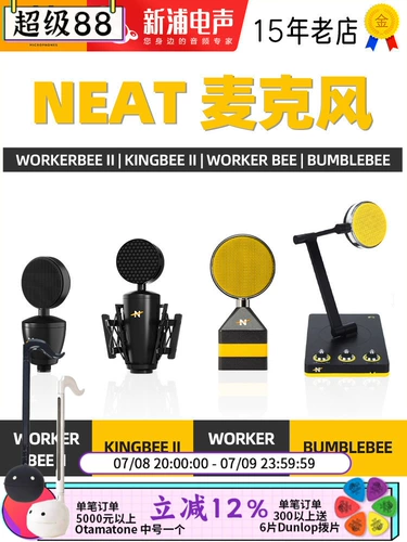 Аккуратная царя пчела королева пчела большая диафрагма конденсатор микрофон живой звукозапись