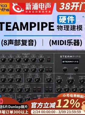 Erica Synths Steampipe 物理建模 硬件 合成器 steampipe