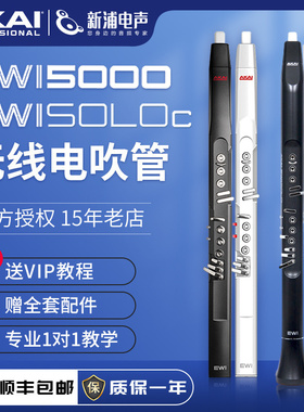 AKAI雅家雅佳EWI5000/SOLOc SOLO中老年人电吹管乐器进口电葫芦丝