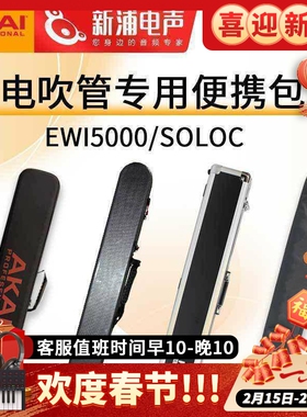 AKAI雅家EWI4000S/5000电吹管专用PC材质硬盒便携收纳硬壳包
