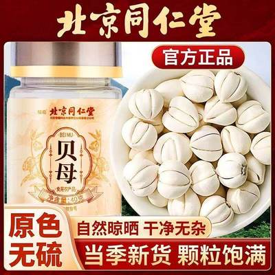 北京同仁堂贝母当季新鲜饱满无硫熏炖梨煲汤泡水家中常备官方正品
