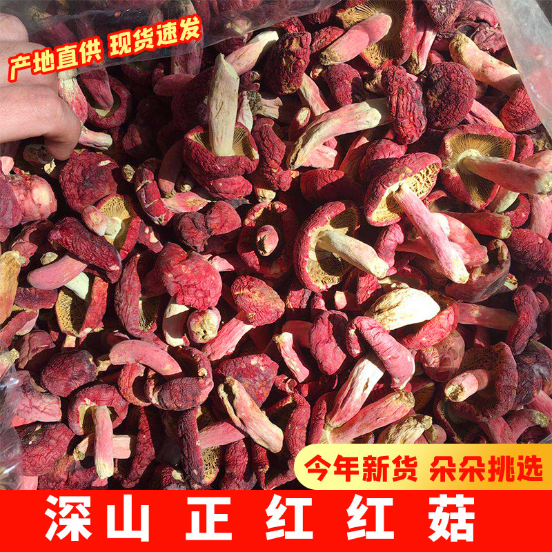 红菇红香菌红椎菌河南红菌500g红蘑菇干货月子菇滋补大小混装