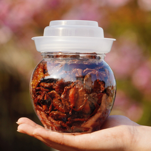 一坛李子干500g湖南浏阳奈李紫苏蜜饯无色素自然酸甜开胃休闲零食