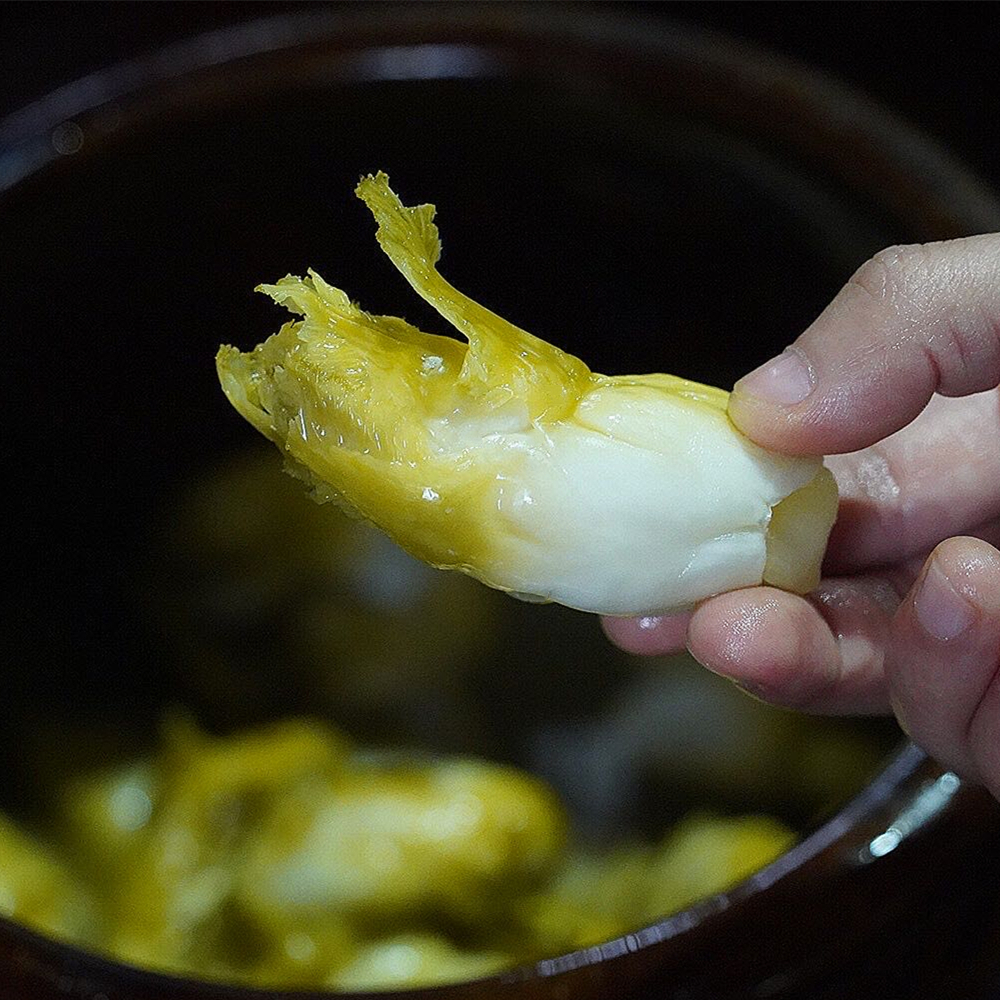 湖南自制抱子酸脆开胃下饭儿菜