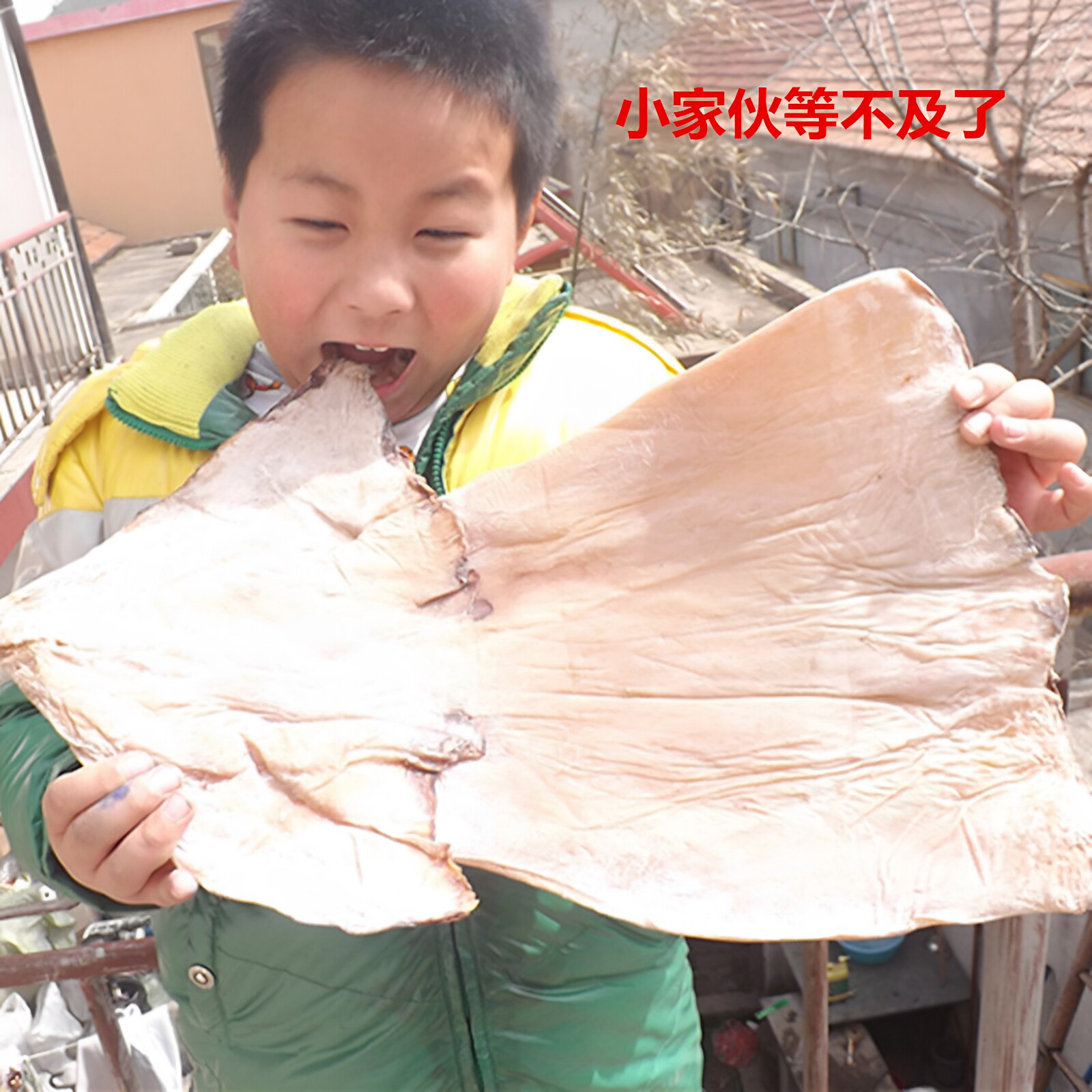 无须鱿鱼干货微咸淡晒干鱿鱼野生大鱿鱼500克海鲜干货鱿鱼片