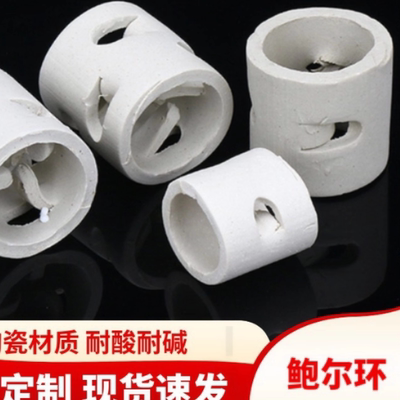 喷淋塔陶瓷鲍尔环散堆填料
