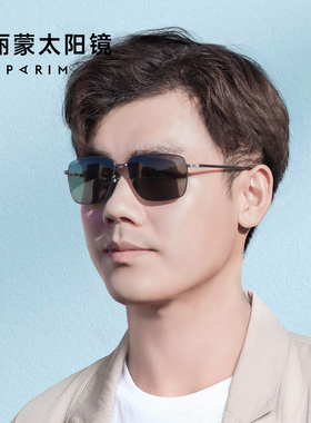 派丽蒙偏光太阳墨镜男款开车专用驾驶镜复古骑行眼镜 72520 71521