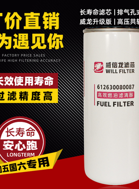 612630080087 精滤器 WBF220 BF9817 1117050B81DM 燃/柴油滤清器