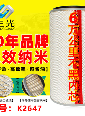 生光 K2647空滤 AA2978 适配东风天锦 AF26549/50 空气滤清器滤芯