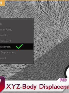 XYZ 身体置换贴图 Body Displacement 手 脚 腿 胸 背等 皮肤毛孔