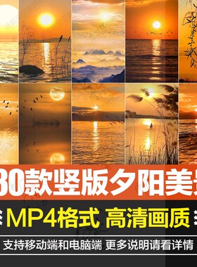 竖版唯美治愈日出日落晚霞黄昏夕阳云彩海浪大海风景短片视频素材